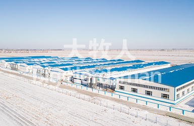 Big Herdsman Jilin Layer Industrial Project